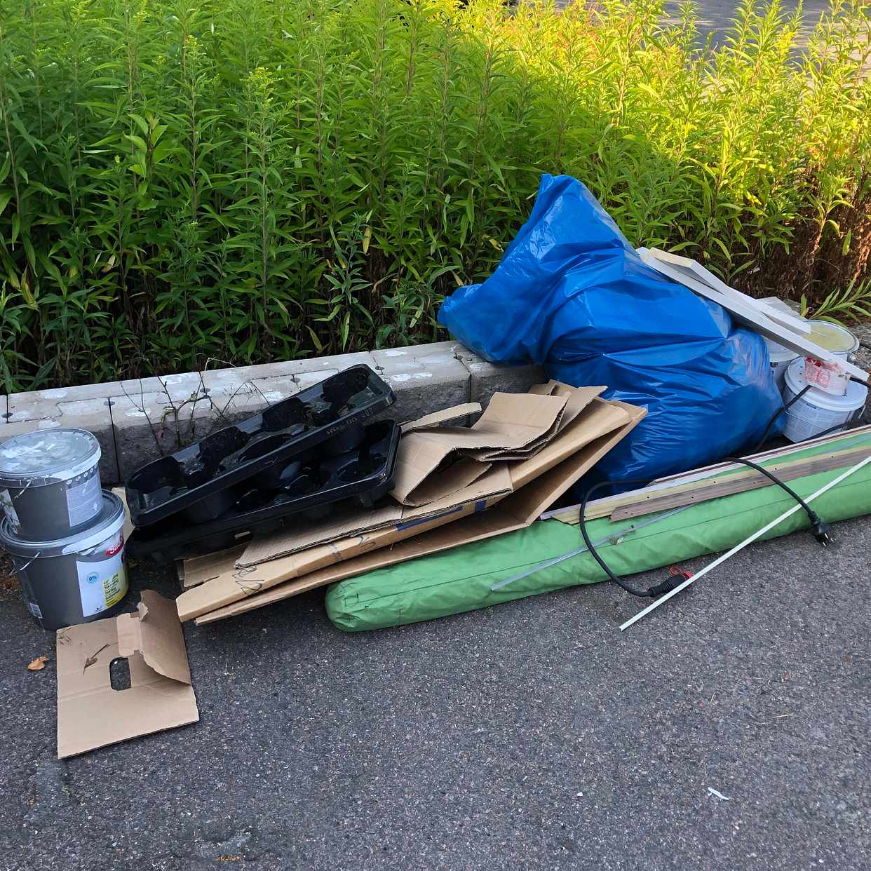 image of Två glasdörrar, grenar mm - Västra Frölunda
