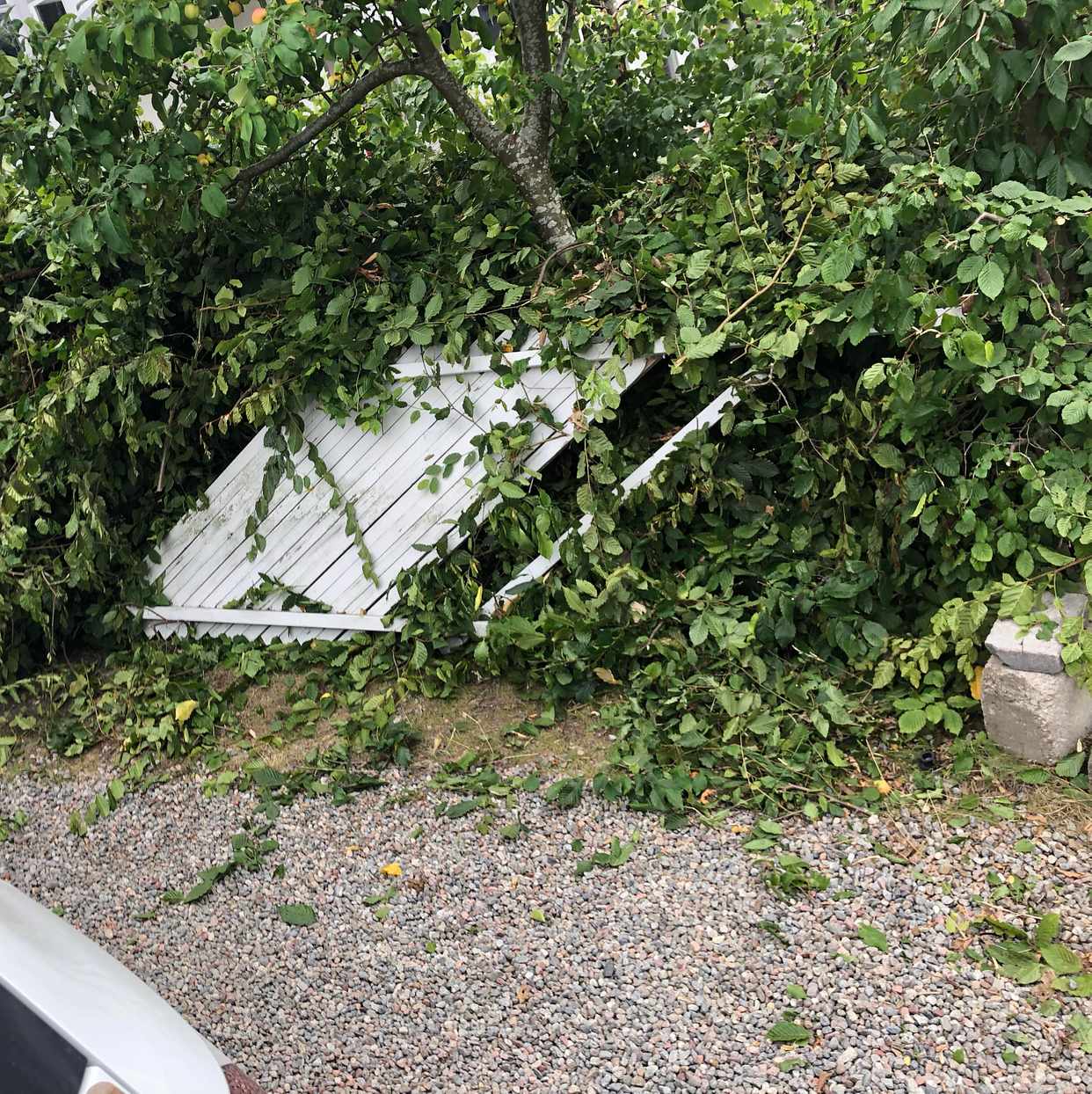 image of Rishög plus lite bråte - Saltsjö-Boo