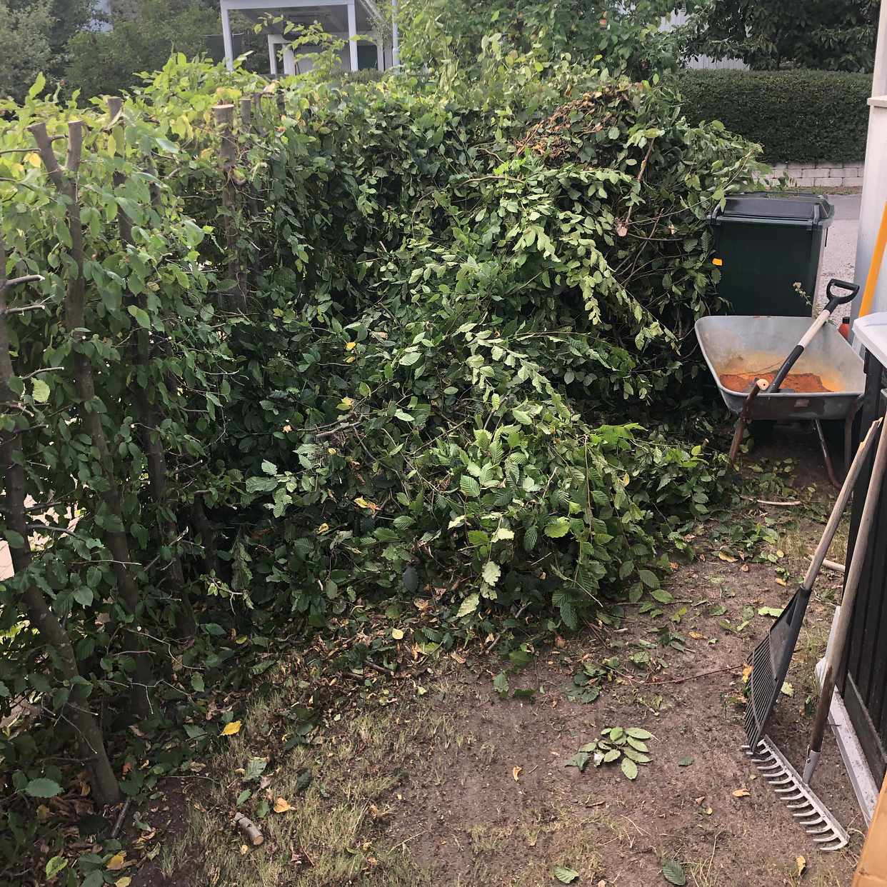 image of Rishög plus lite bråte - Saltsjö-Boo