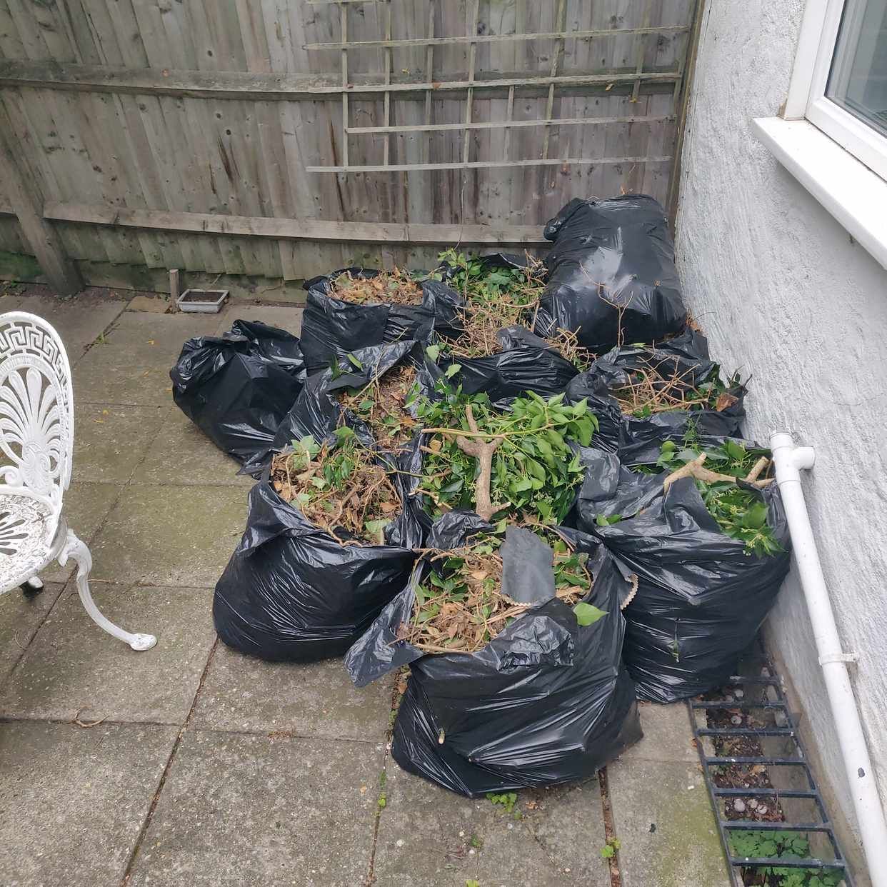 image of Garden waste in bin bags - London