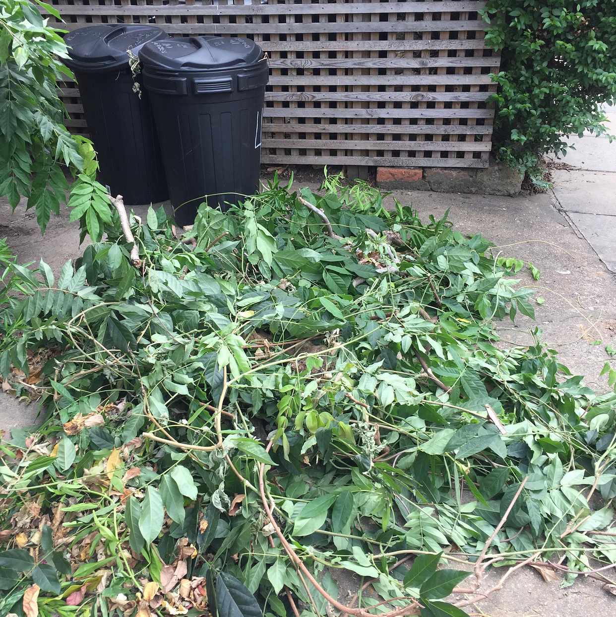 image of Garden waste - London