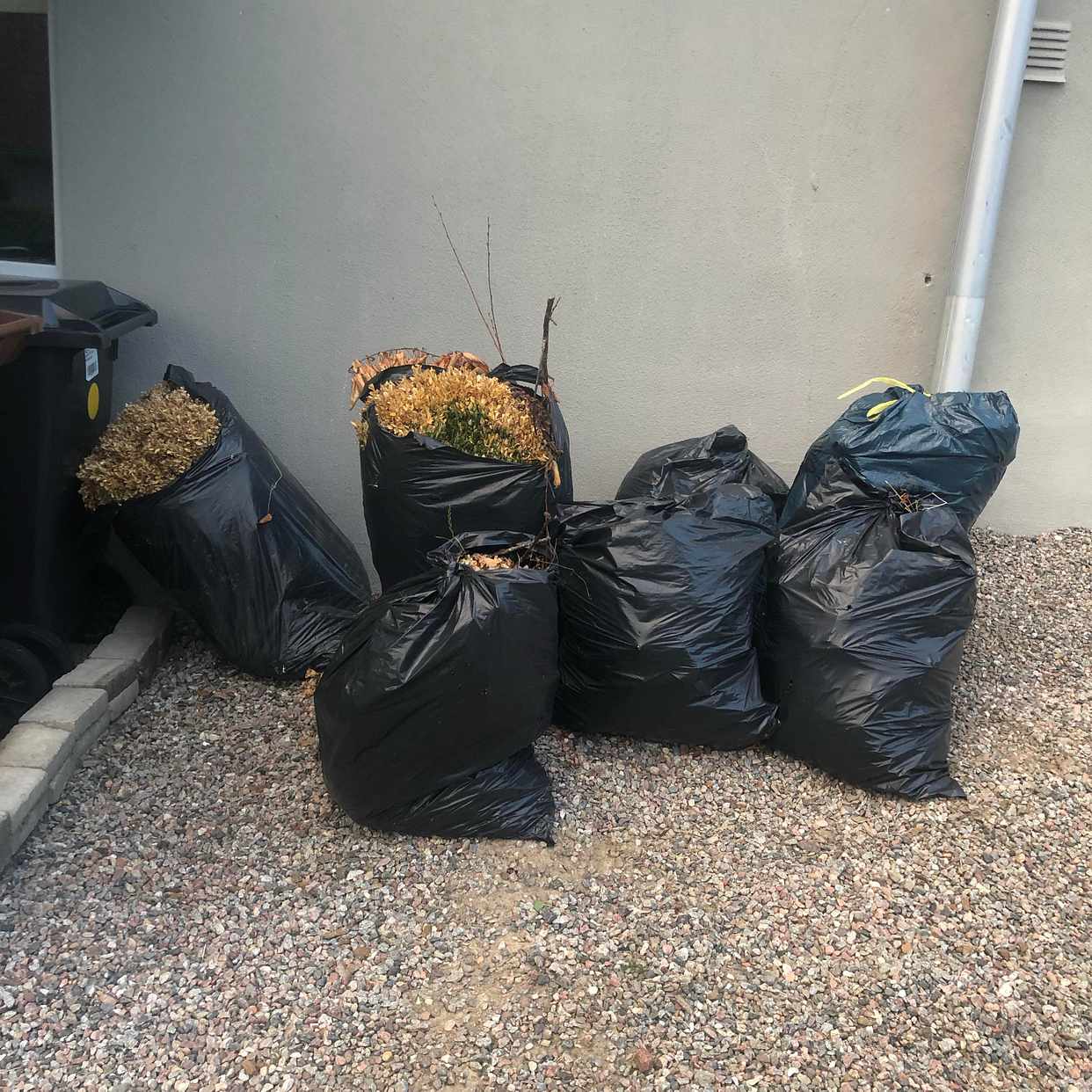 image of 7 plastsäckar löv & grena - Danderyd
