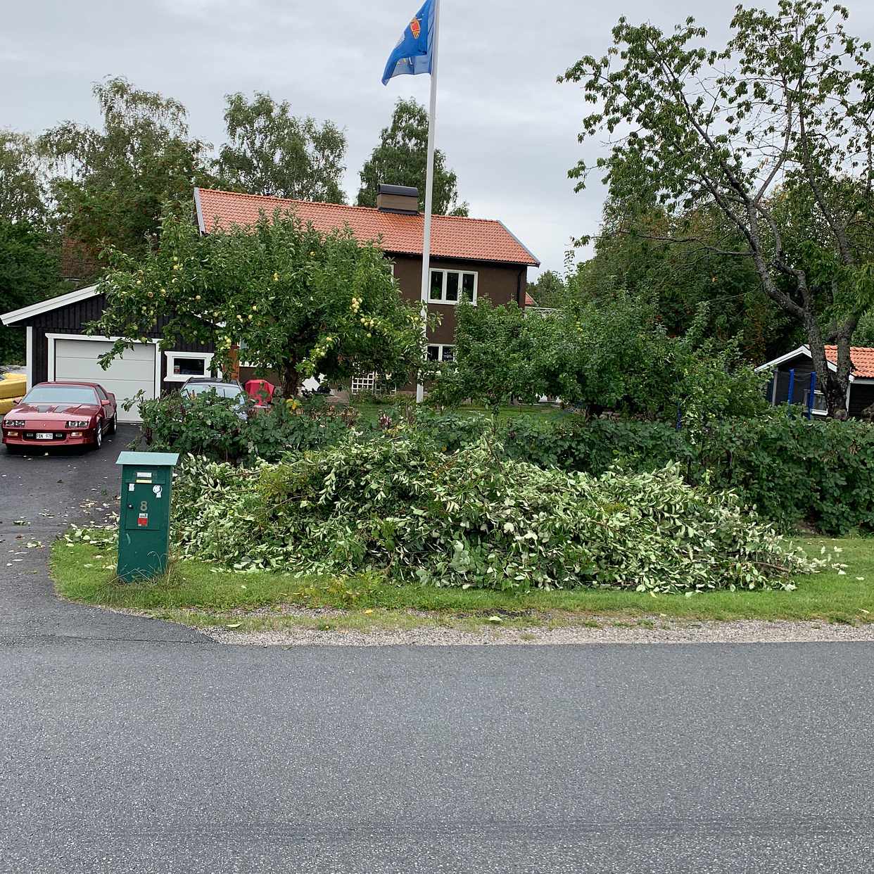 image of Grenar och löv - Sollentuna