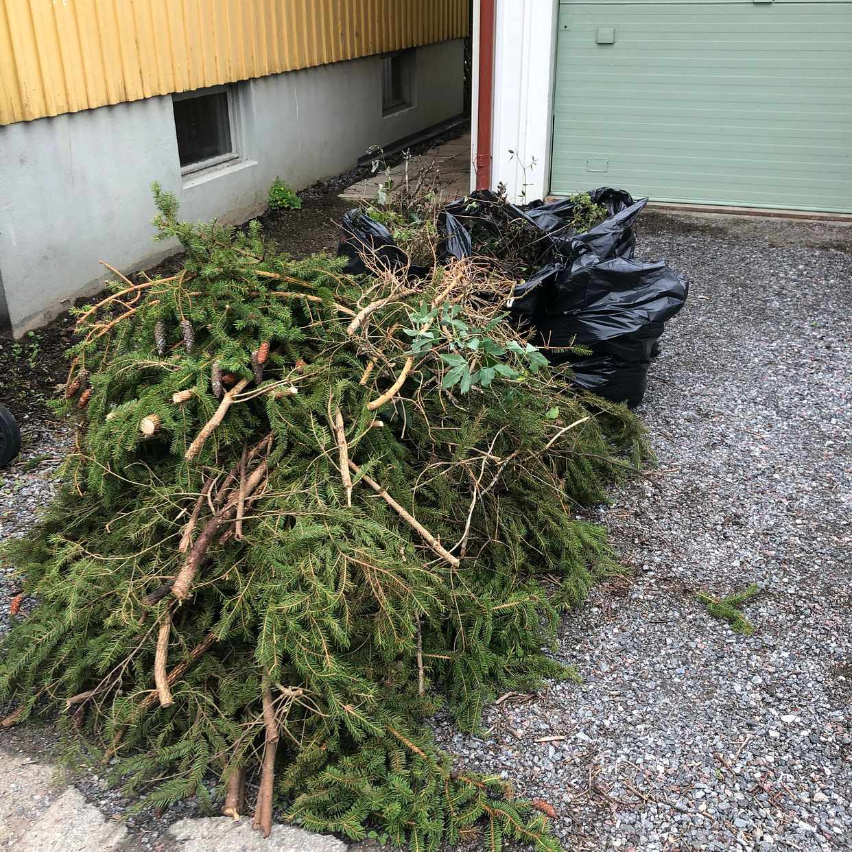 image of 5 säckar m ris + granris - Bromma