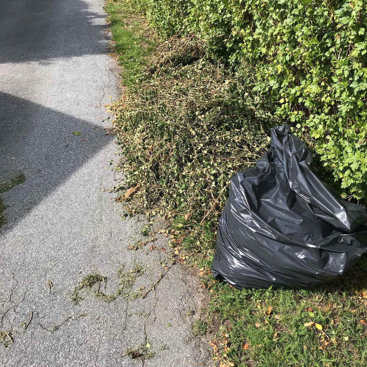 image of Trädgårdsavfall - Danderyd