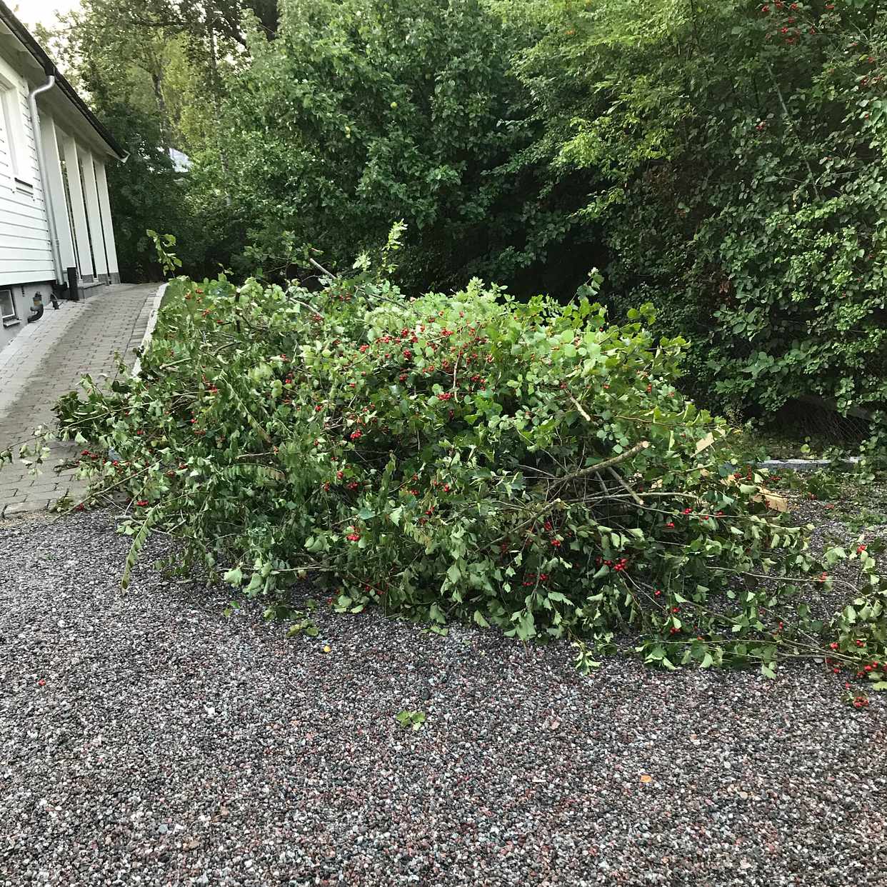 image of Trädgårdsavfall - Täby