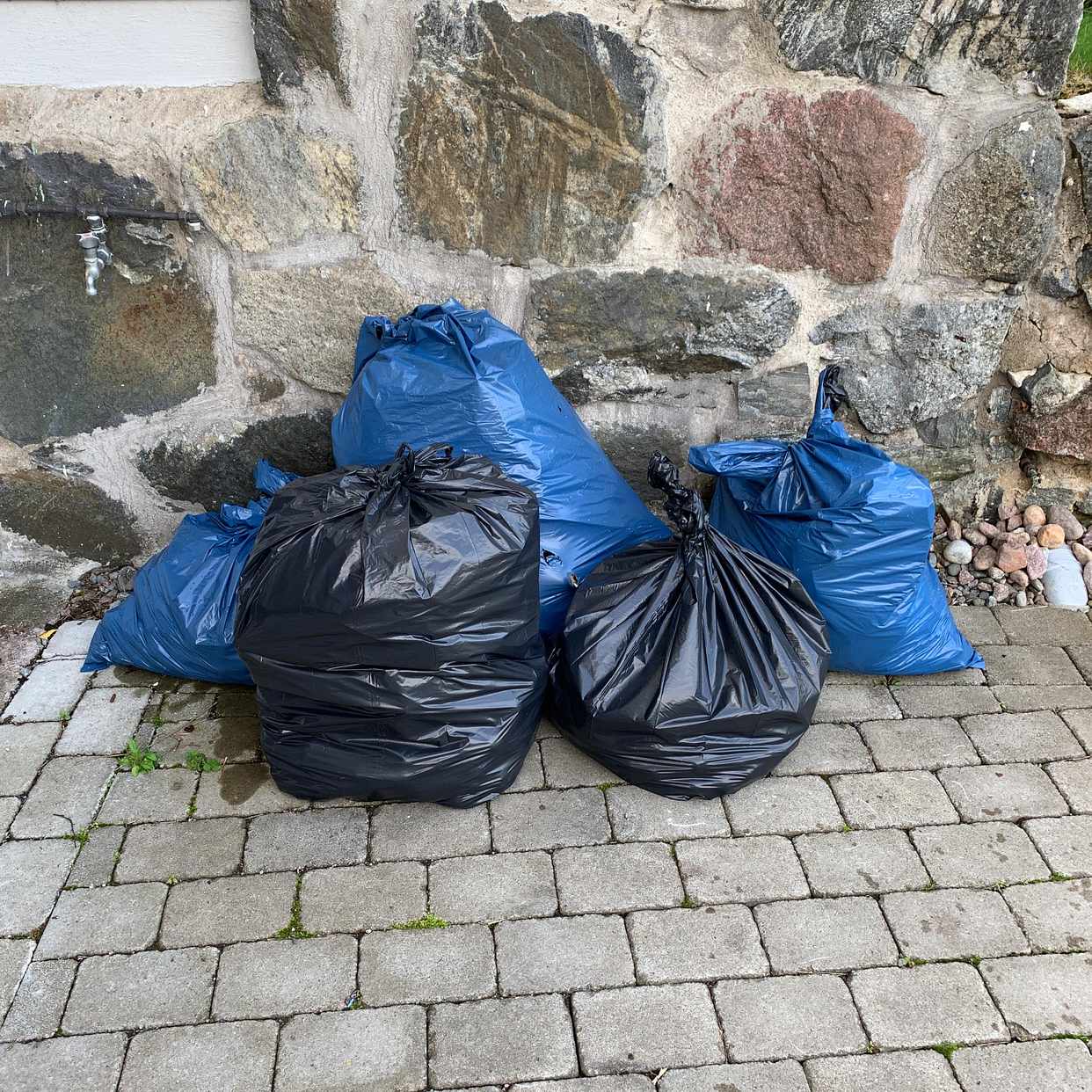 image of Säckar med fallfrukt - Danderyd