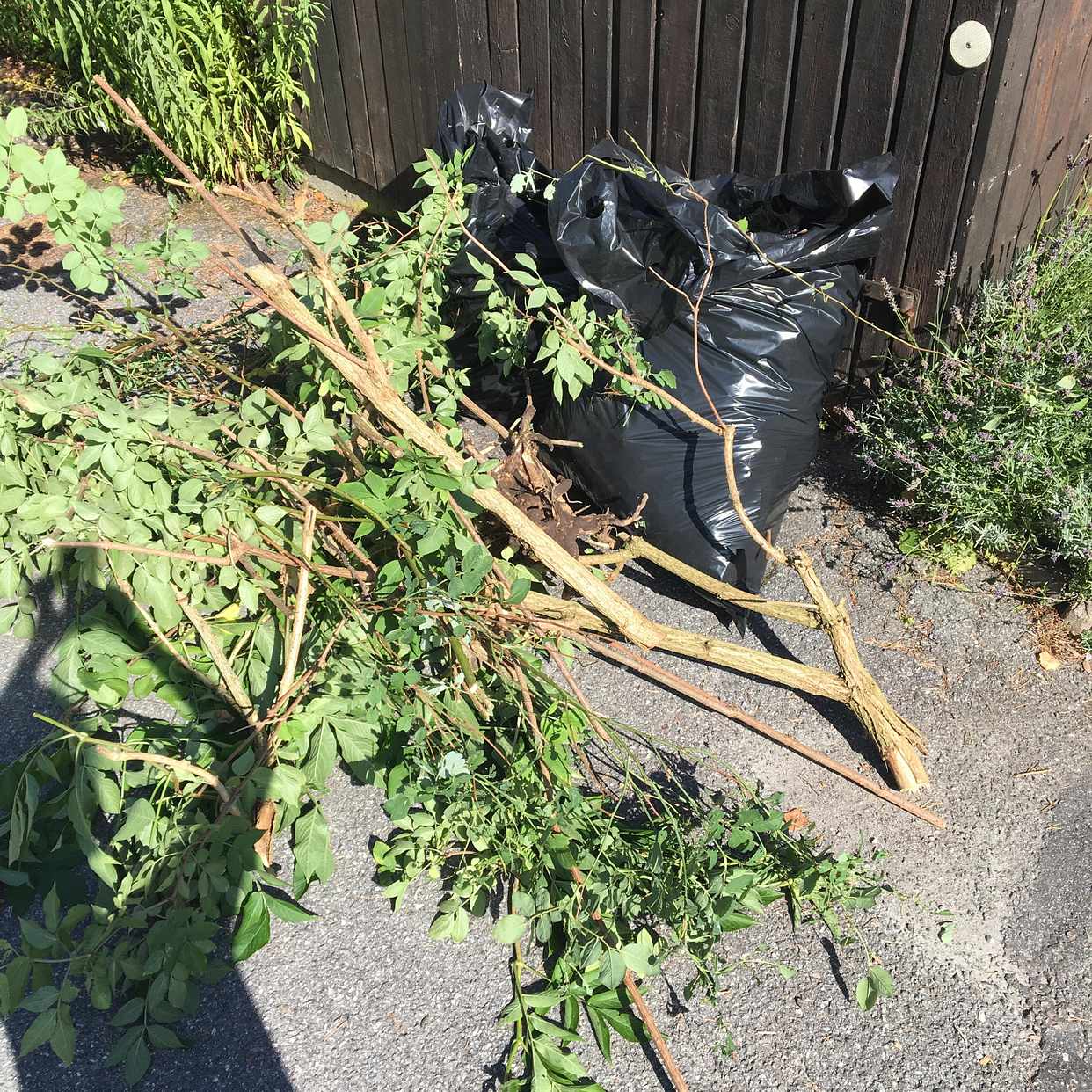 image of Trädgårdsavfall - Vällingby