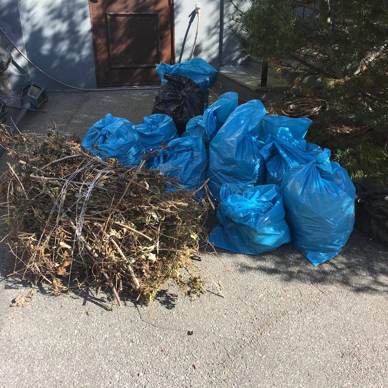image of Kvistar/löv t återvinning - Spånga