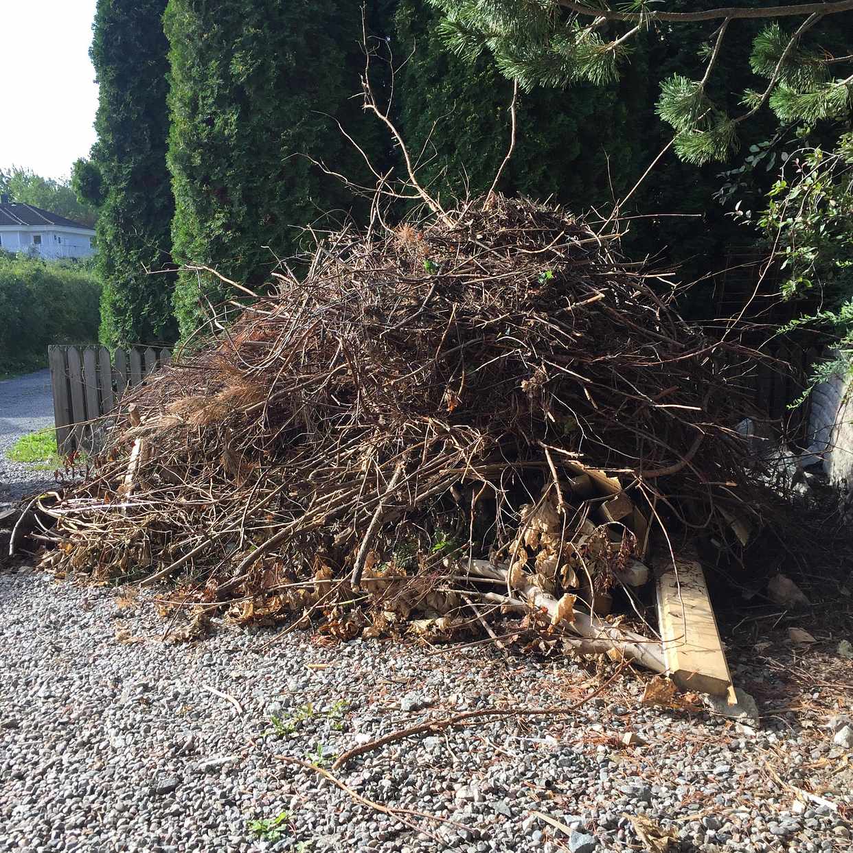 image of Hämtning trådgårdsavfall - Saltsjö-Boo