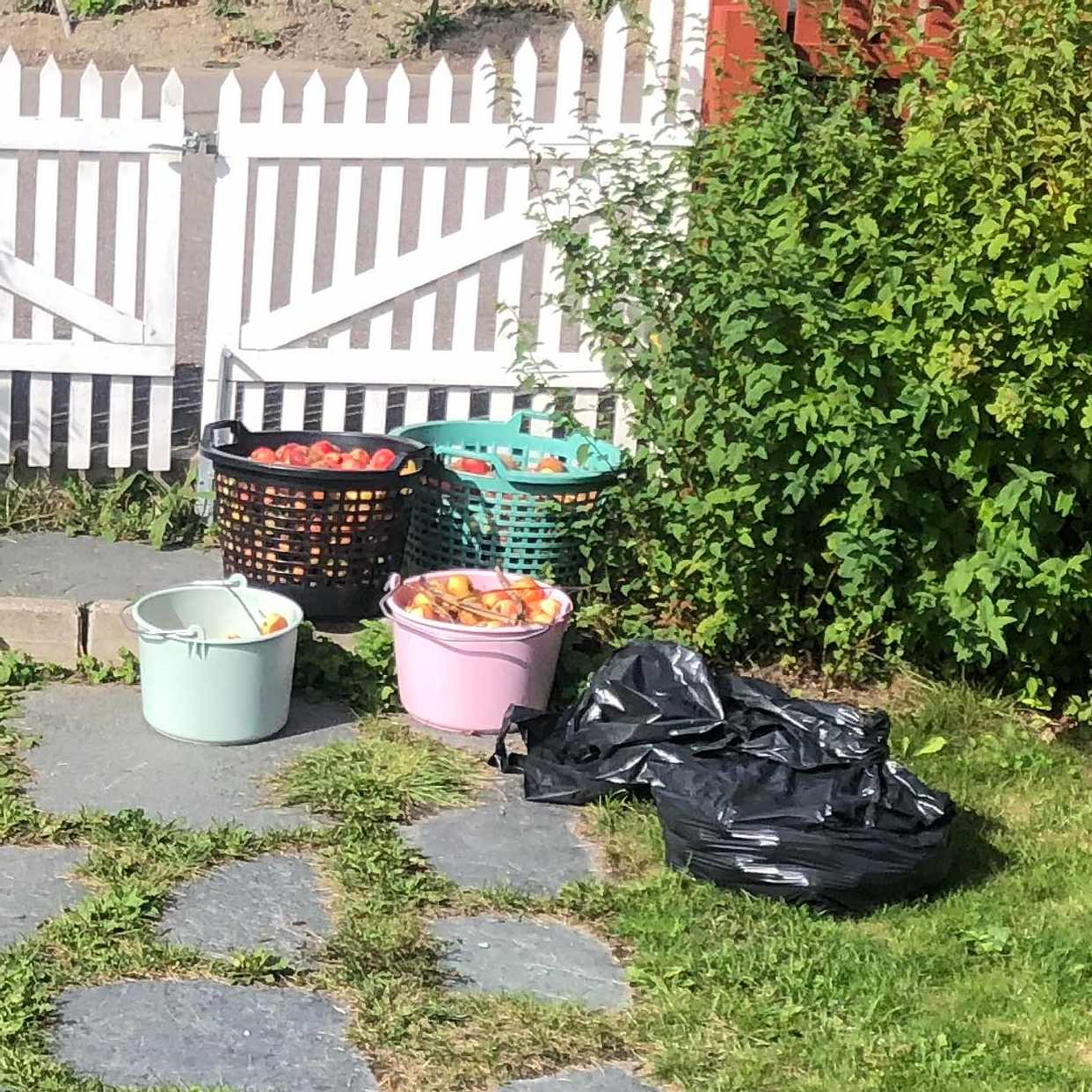 image of Byggavfall och äpplen - Sundbyberg