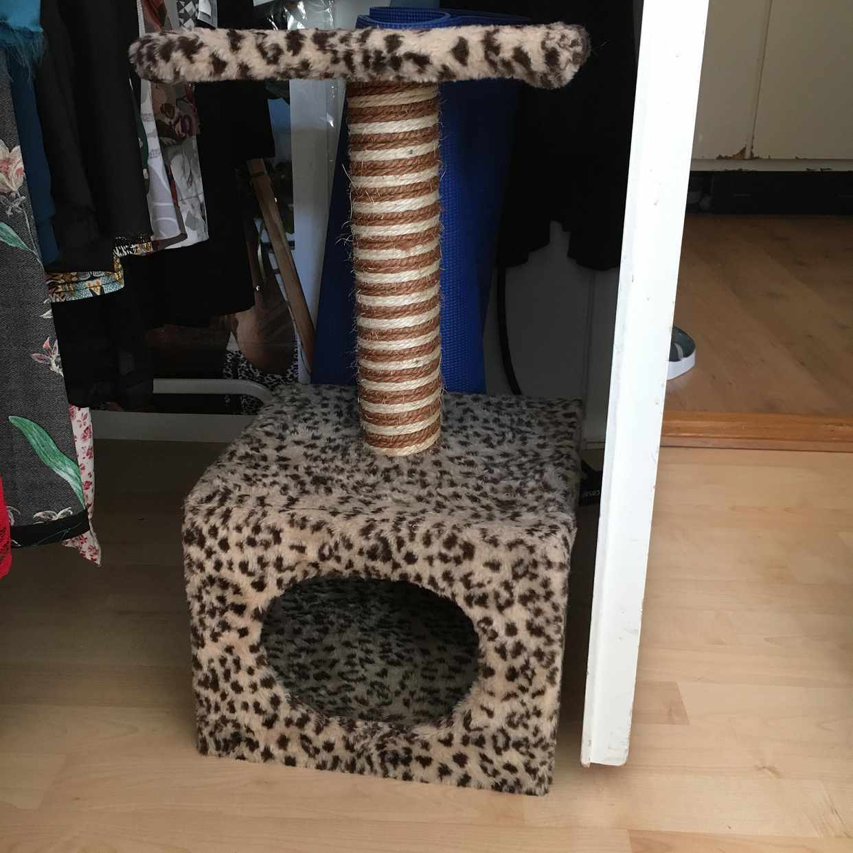 image of Katt-träd - Stockholm