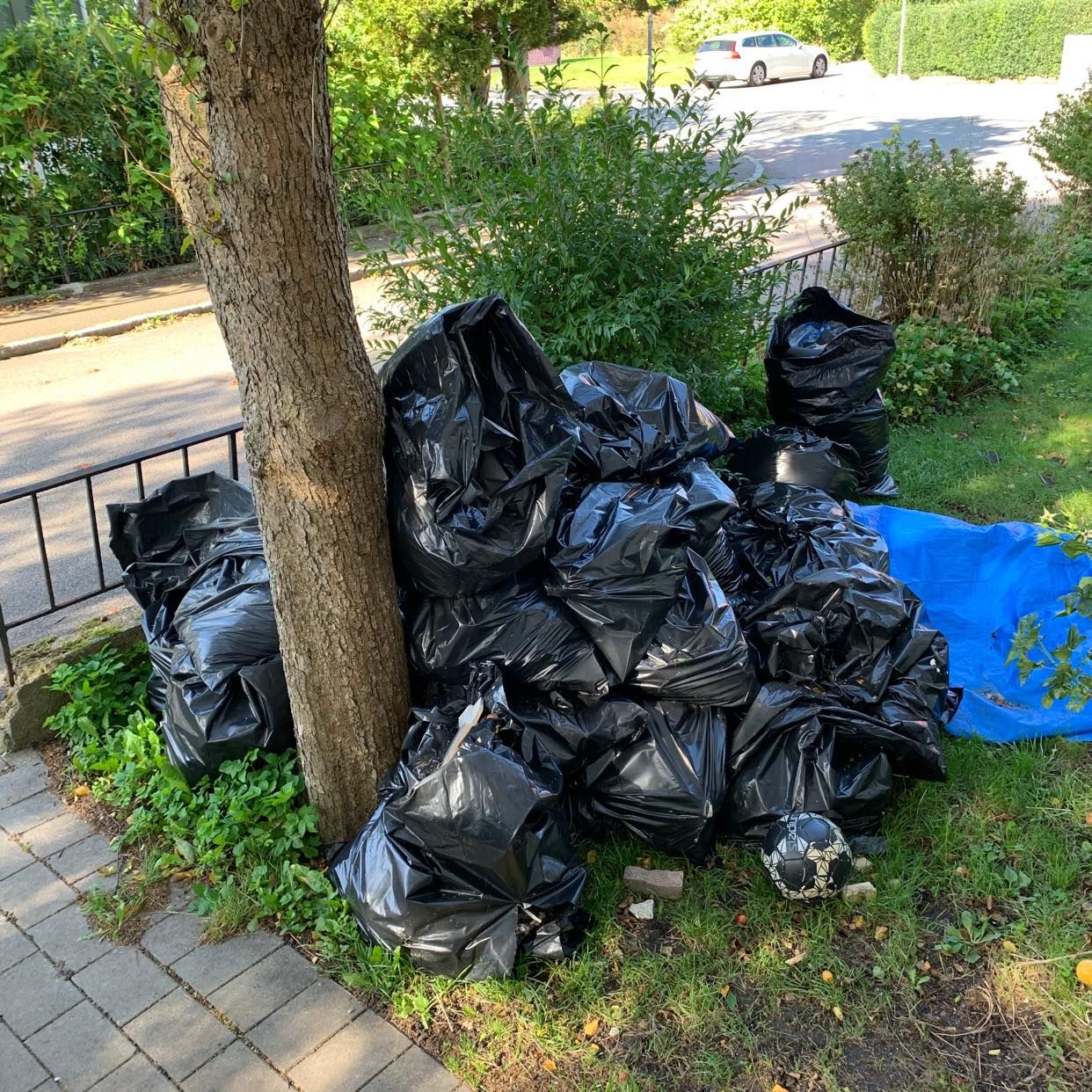 image of Trä, spån och lite metall - Västra Frölunda