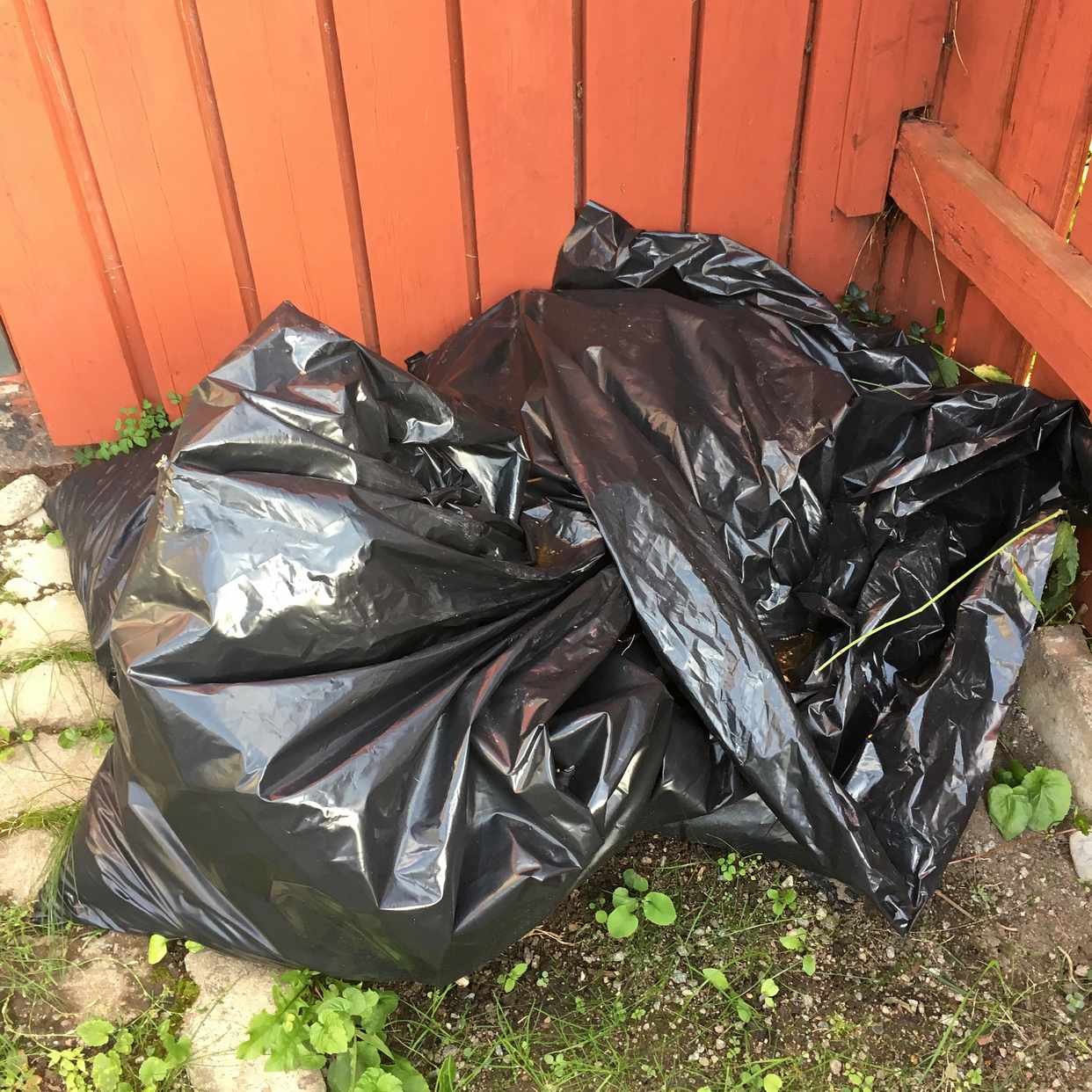 image of Löv och jordsäckar - Spånga