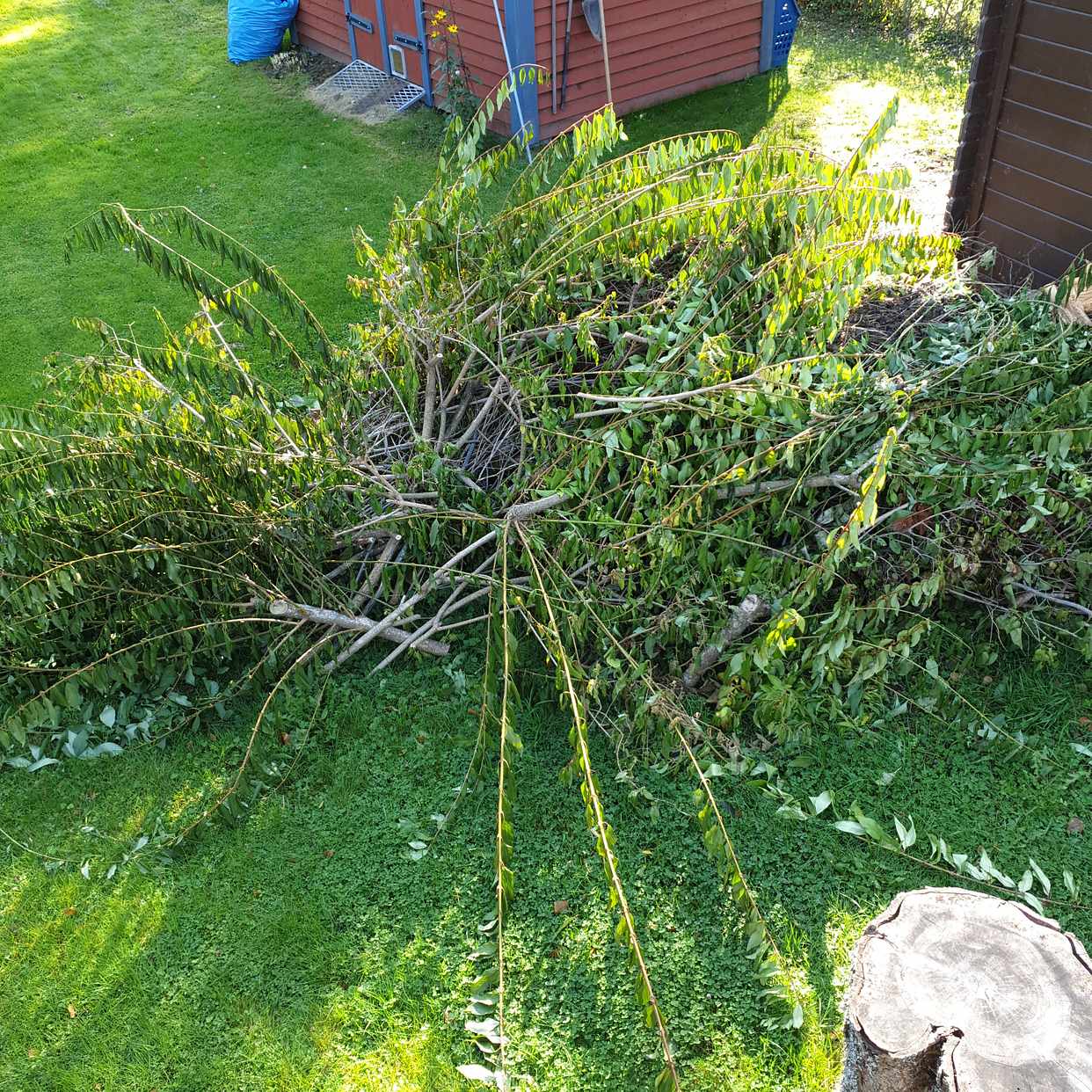 image of Trädgårdsavfall - Tungelsta