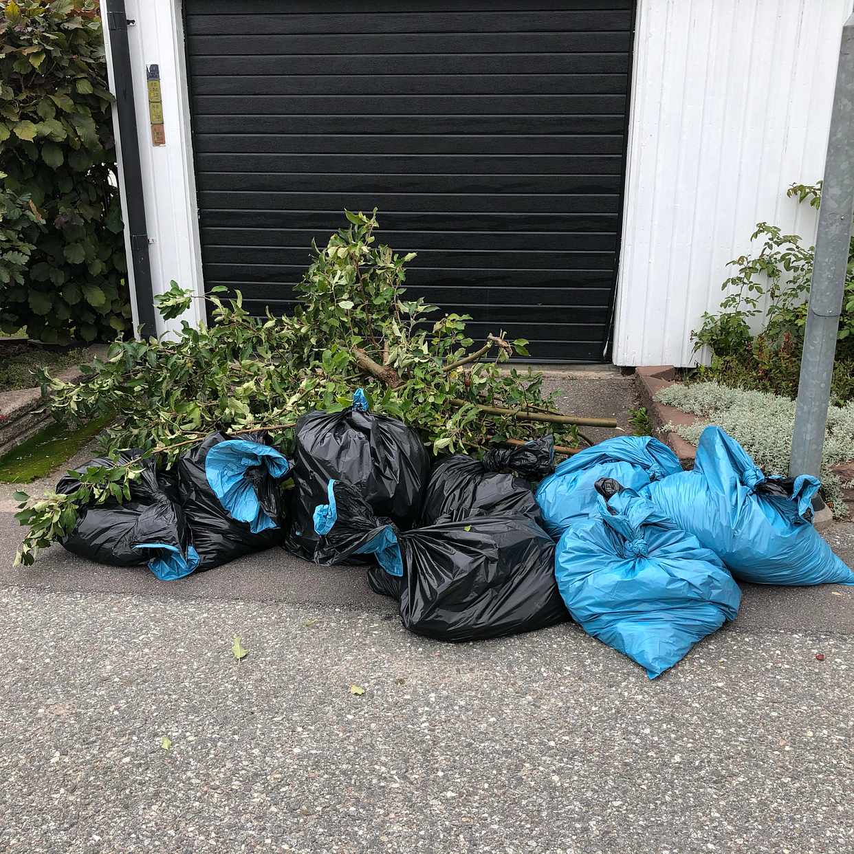 image of Äpplen och trädgårdsavfal - Upplands Väsby
