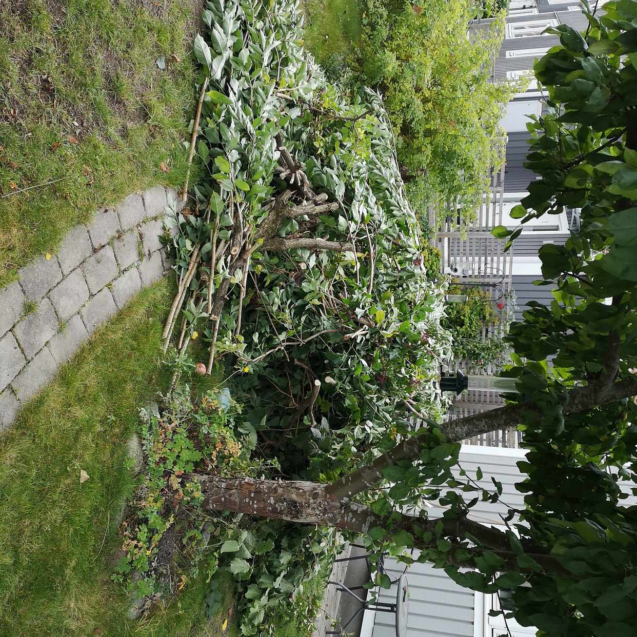 image of Grenar m.m. - Täby