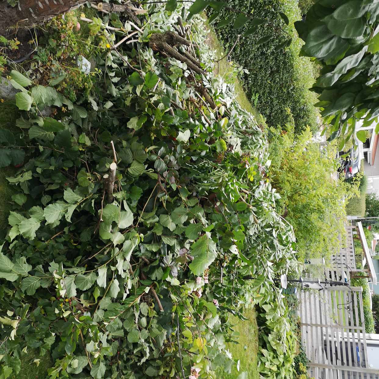 image of Grenar m.m. - Täby