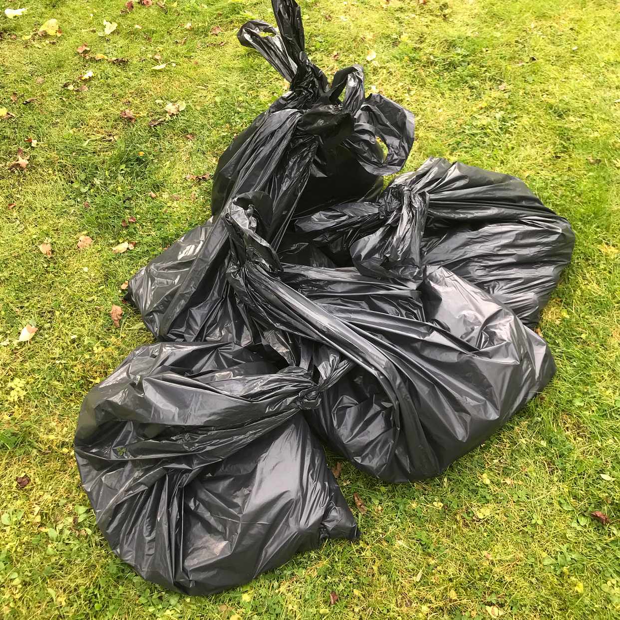image of Möbler, Trädgårdsavfall - Uppsala
