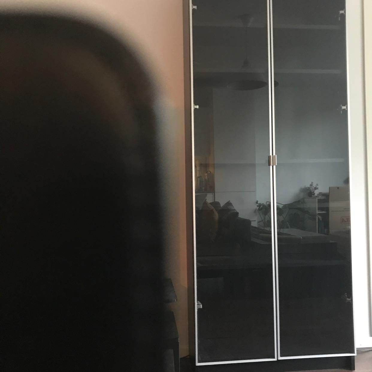 image of Bokhylla med glasdörrar - Hägersten