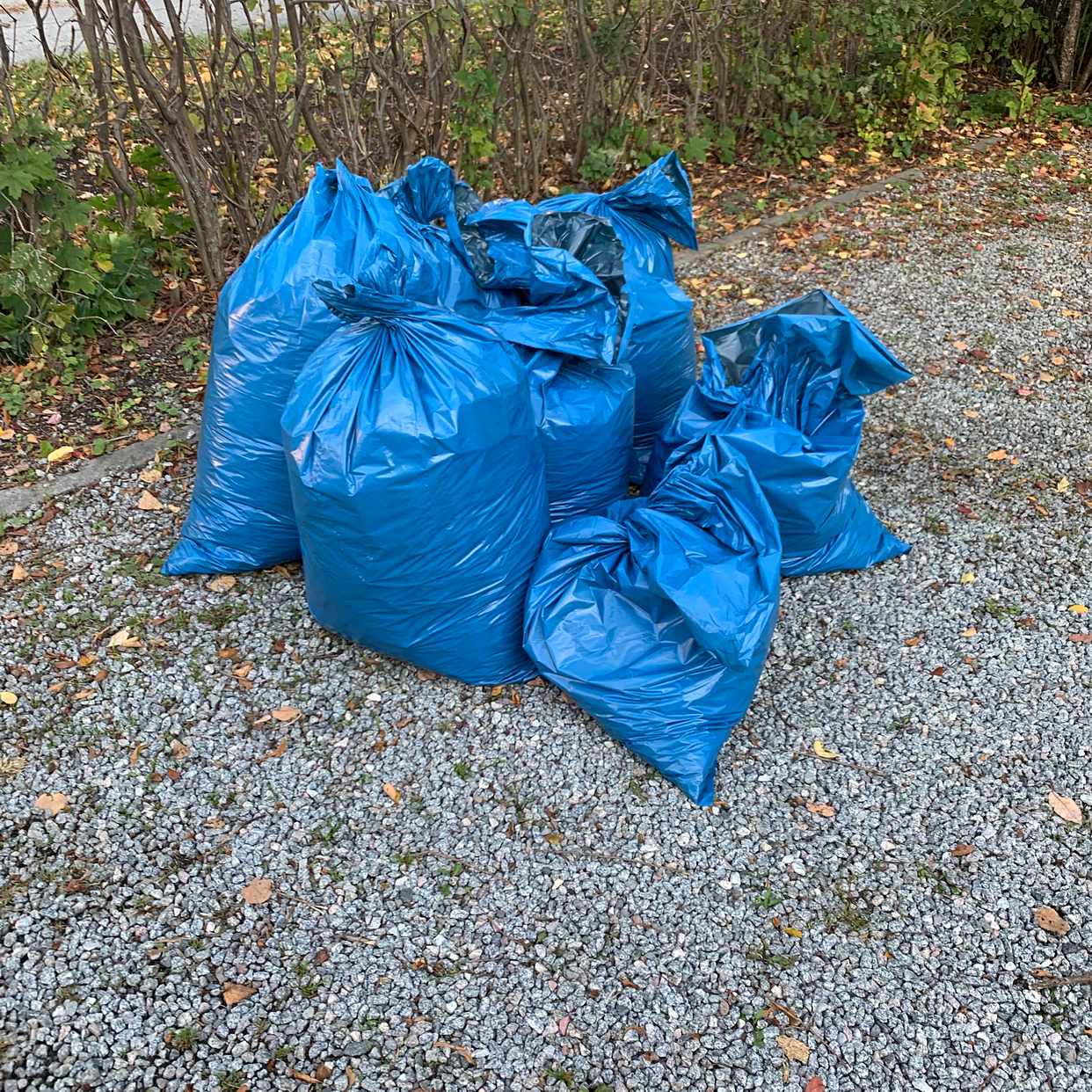 image of lövsäckar - Bromma