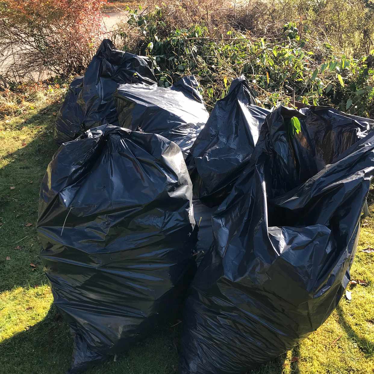 image of Trädgårdsavfall samt anna - Mölndal
