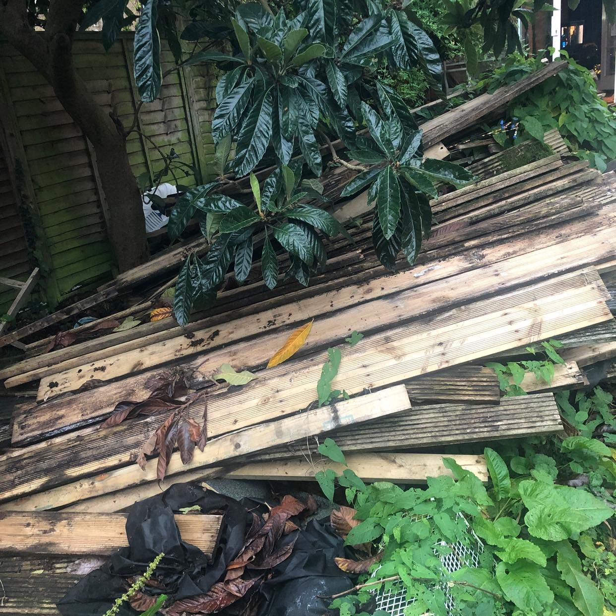 image of Old decking and other - Kingston Upon Thames