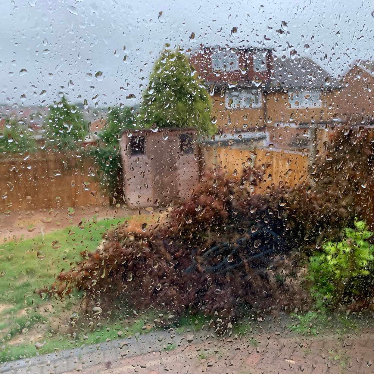 image of Garden waste to remove. - Chase Cross