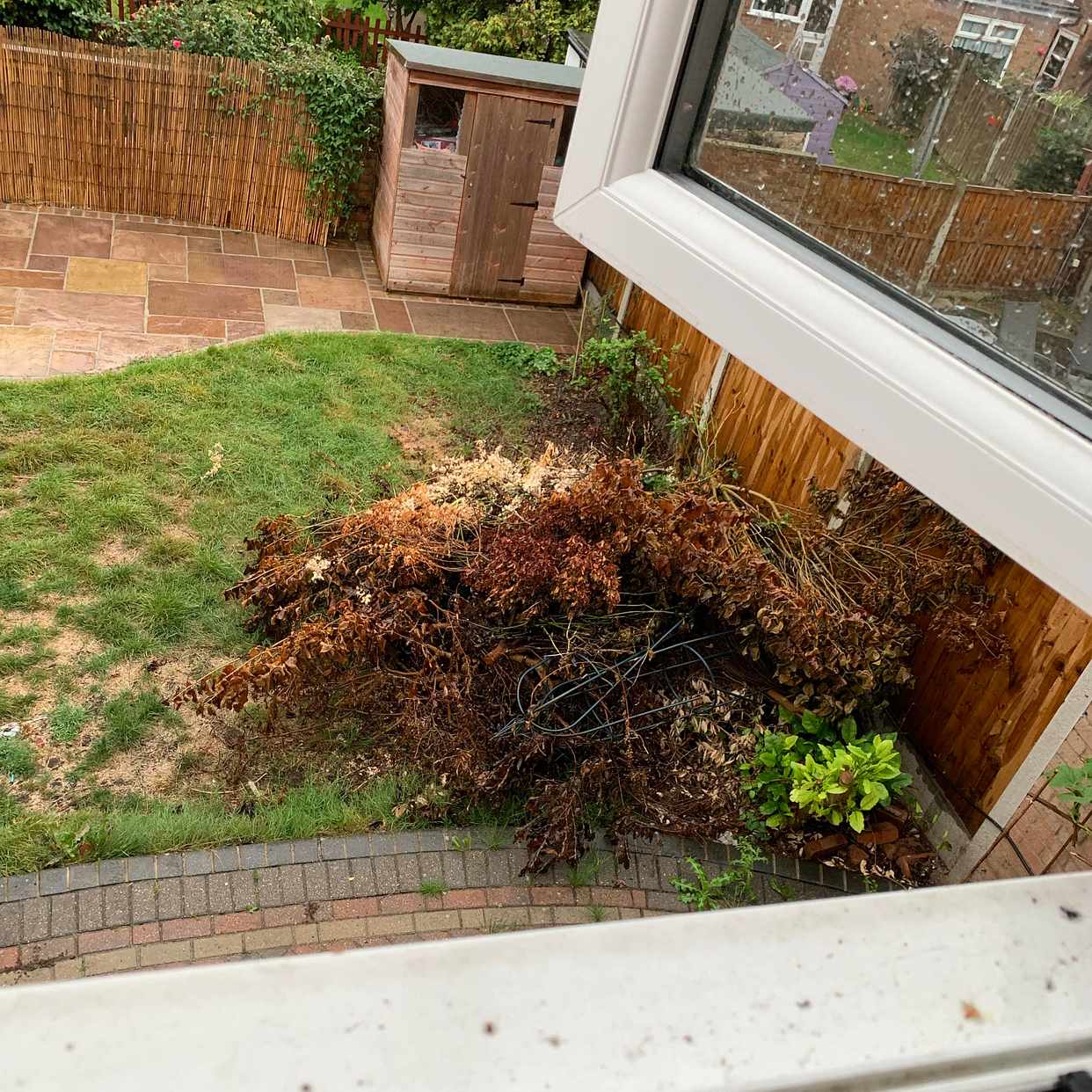 image of Garden waste to remove. - Chase Cross