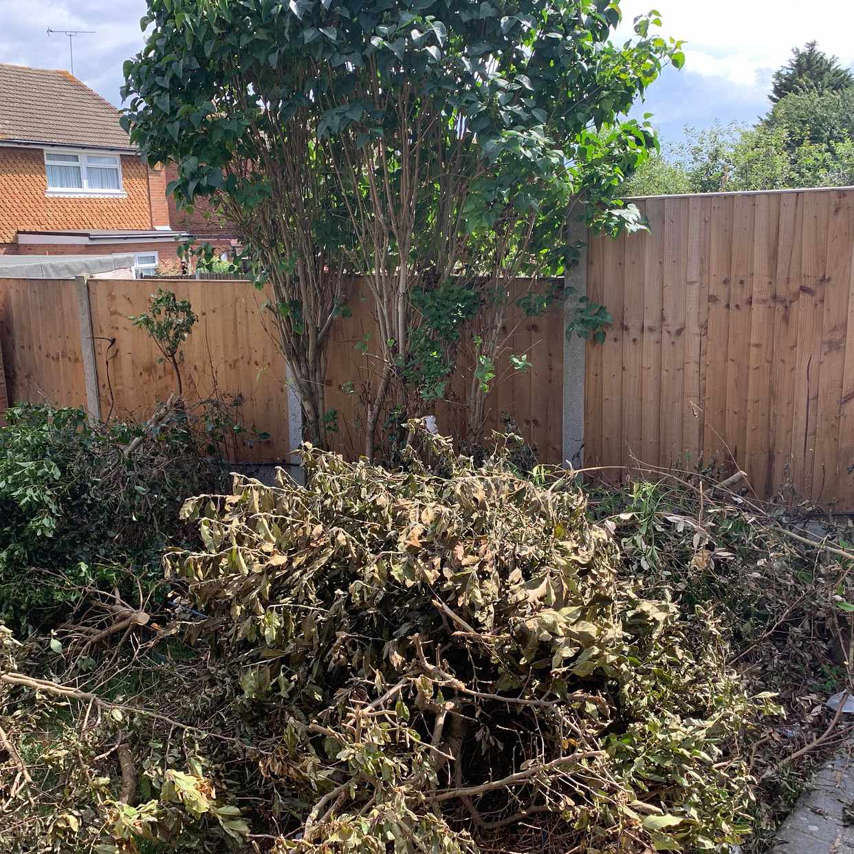 image of Garden waste to remove. - Chase Cross