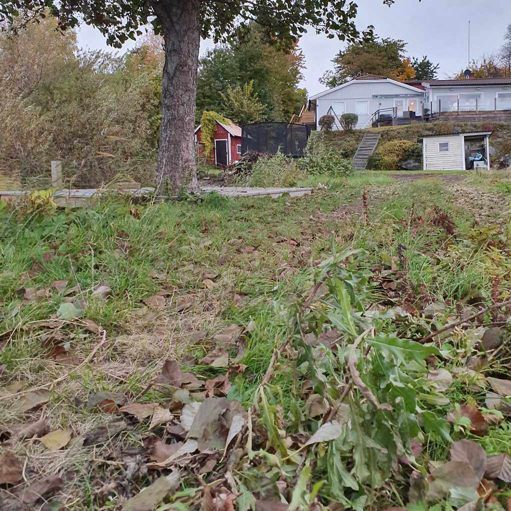 image of Bortforsling av virke - Ekerö