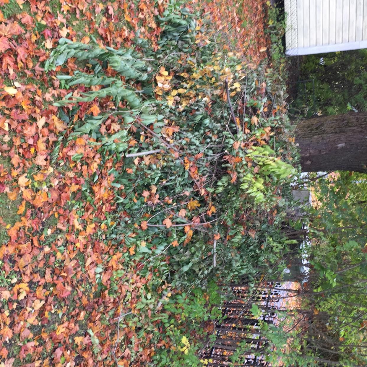 image of 2 högar trädgårdsrens - Sollentuna