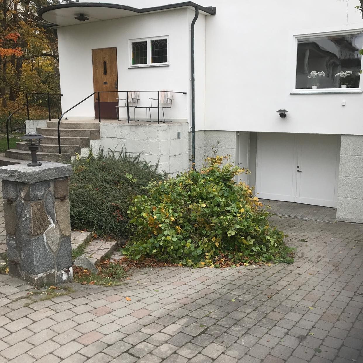 image of Mindre trädgrenar bortfor - Bromma