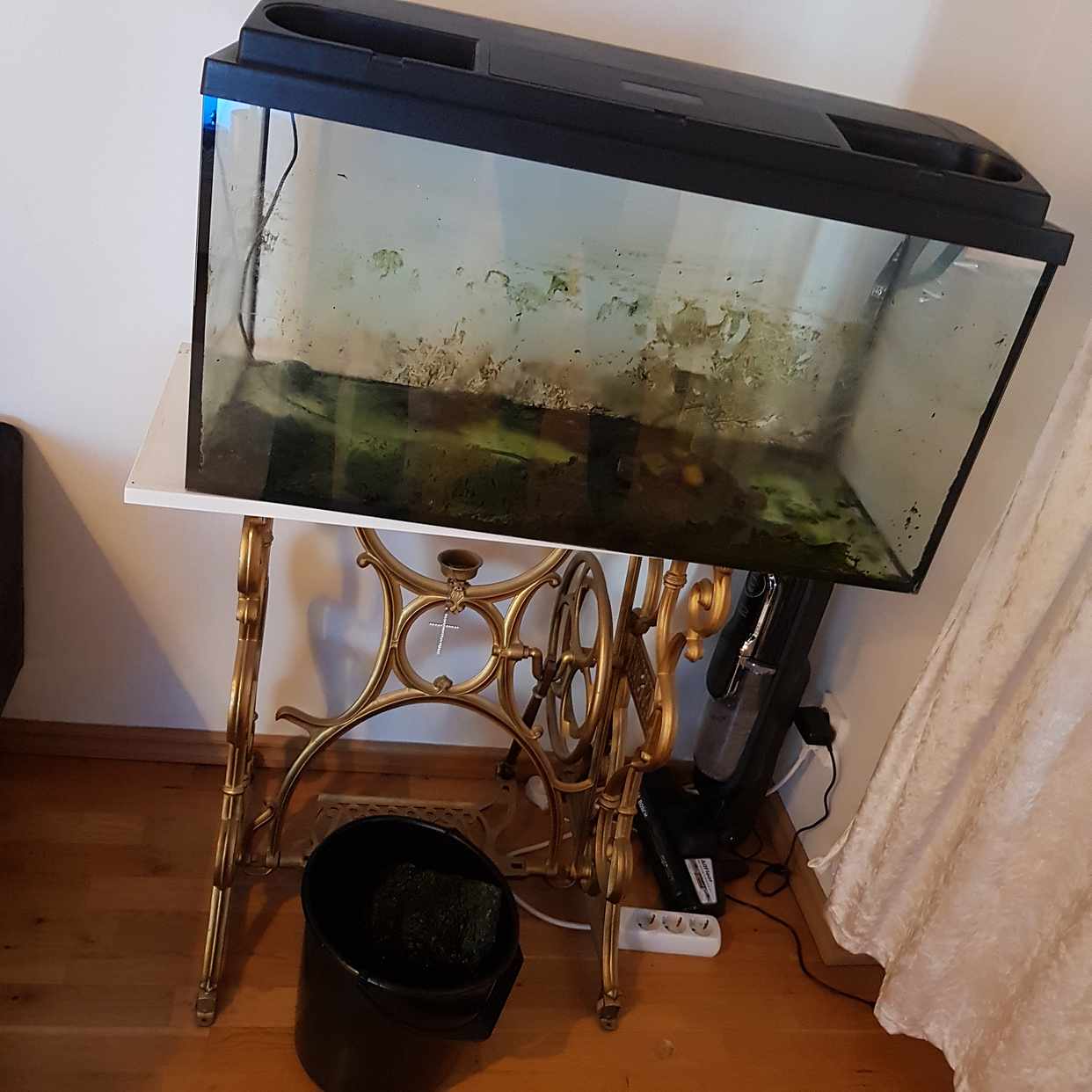 image of Akvarium och sten - Stockholm