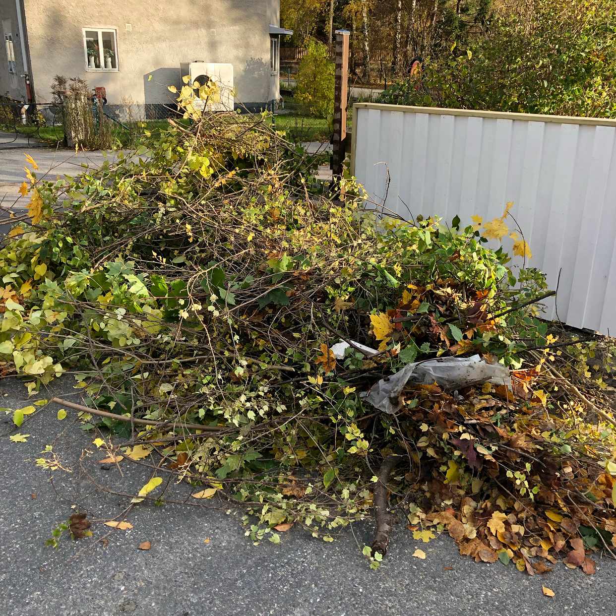 image of Trädgårdsrens - Vendelsö