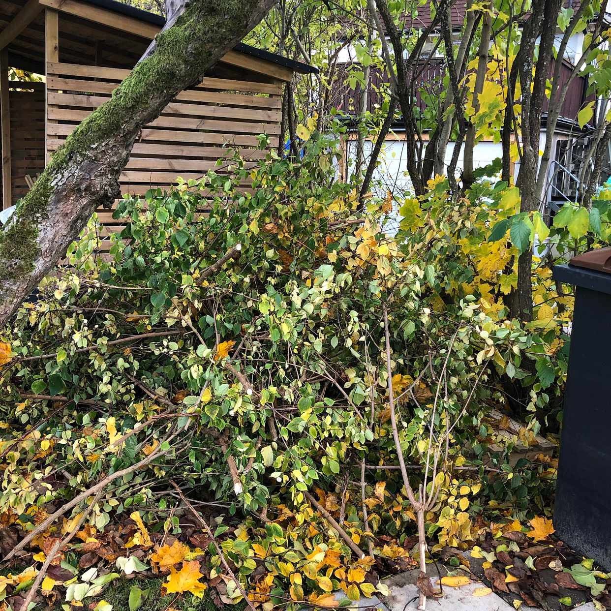 image of Trädgårdsavfall - Älvsjö