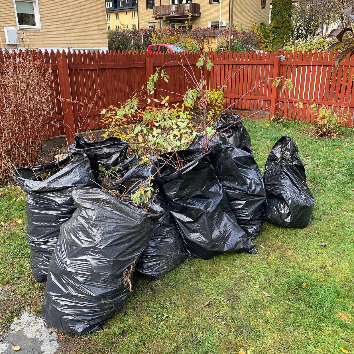 image of Trädgårdsavfall, låda - Sundbyberg 