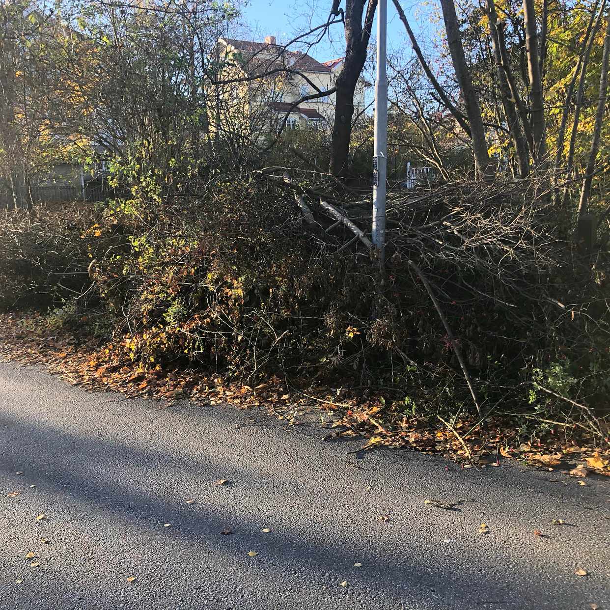 image of Trädgårdsavfall - Lidingö