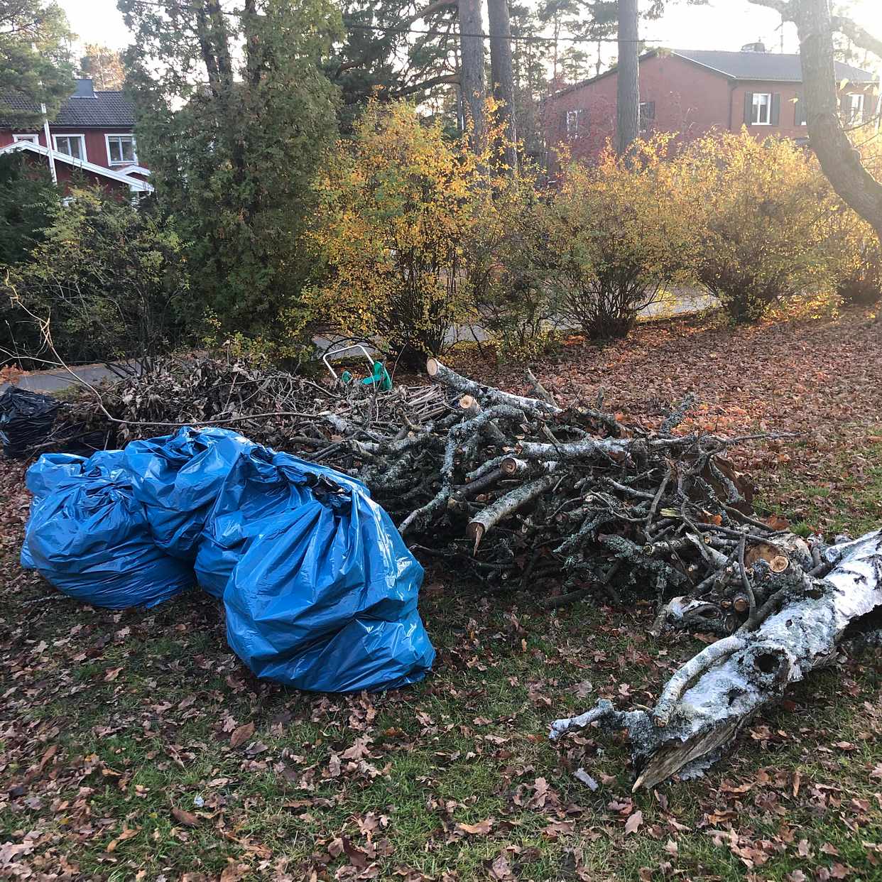 image of ris,löv,träd lite plast - Saltsjö-Boo
