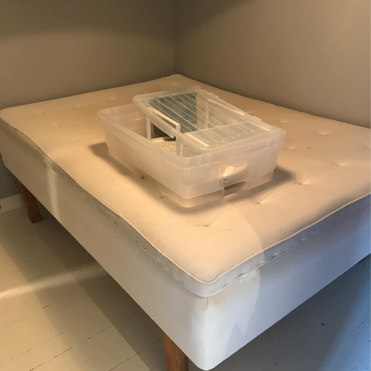 image of A bed and boxer - Stockholm