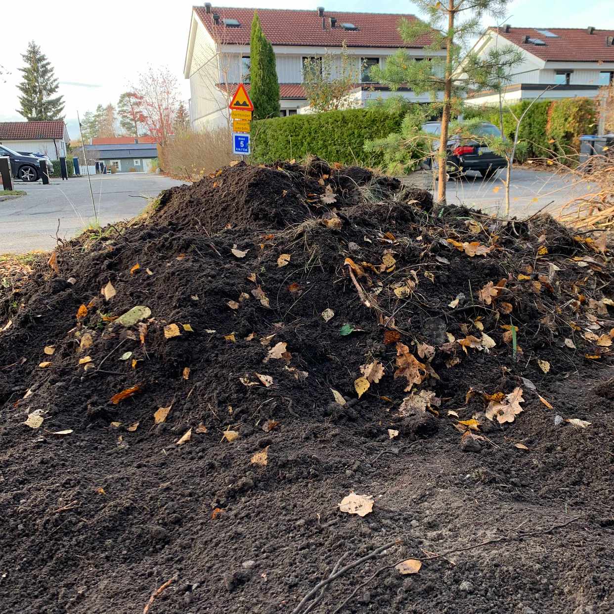 image of Ett lass med jord - Täby