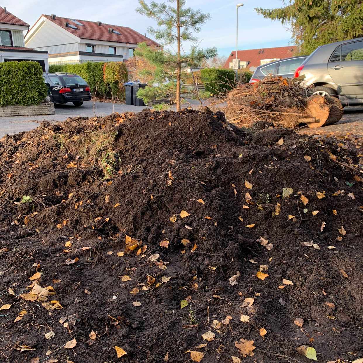 image of Ett lass med jord - Täby