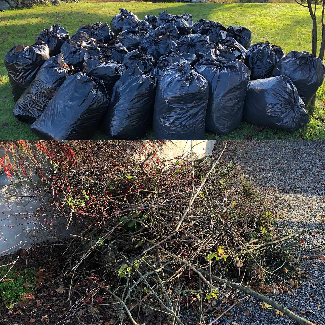 image of 52 lövsäckar samt rishög - Saltsjöbaden