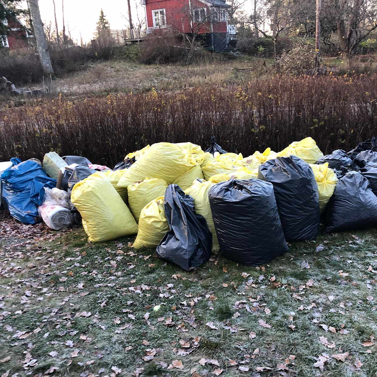 image of Löv, mini kyl, skräp - Saltsjö-Boo