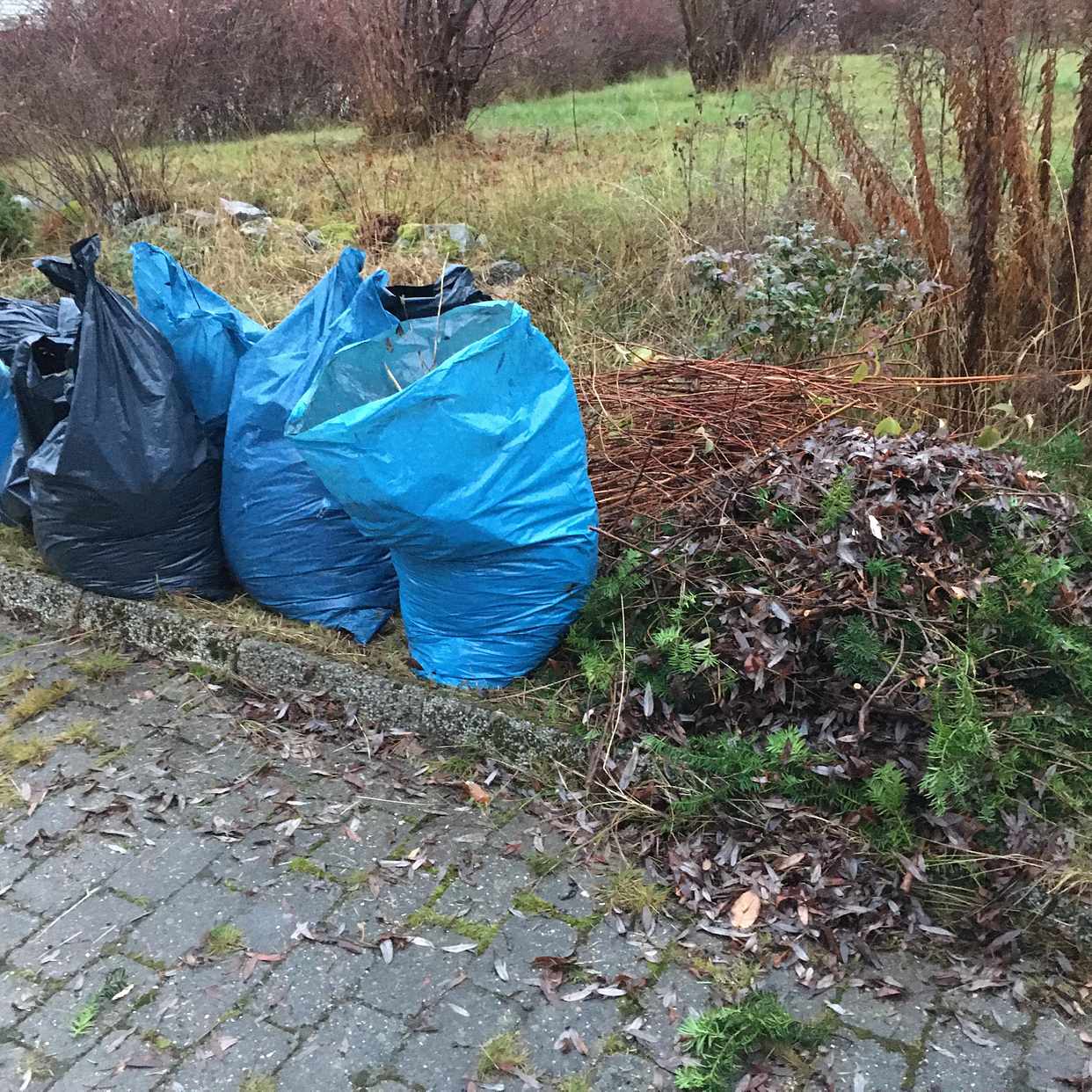 image of 7 lövsäckar + ris - Vallentuna