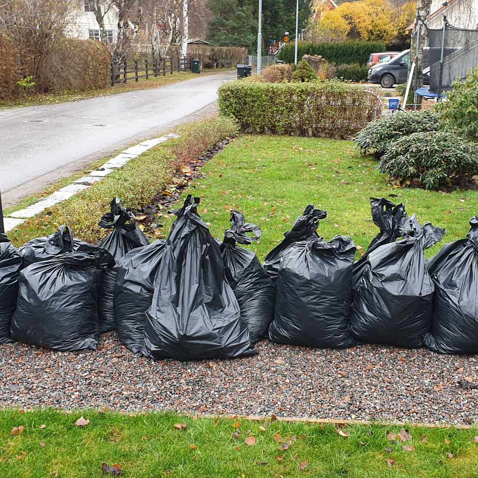 image of 14 säckar löv + 1 Bland - Spånga