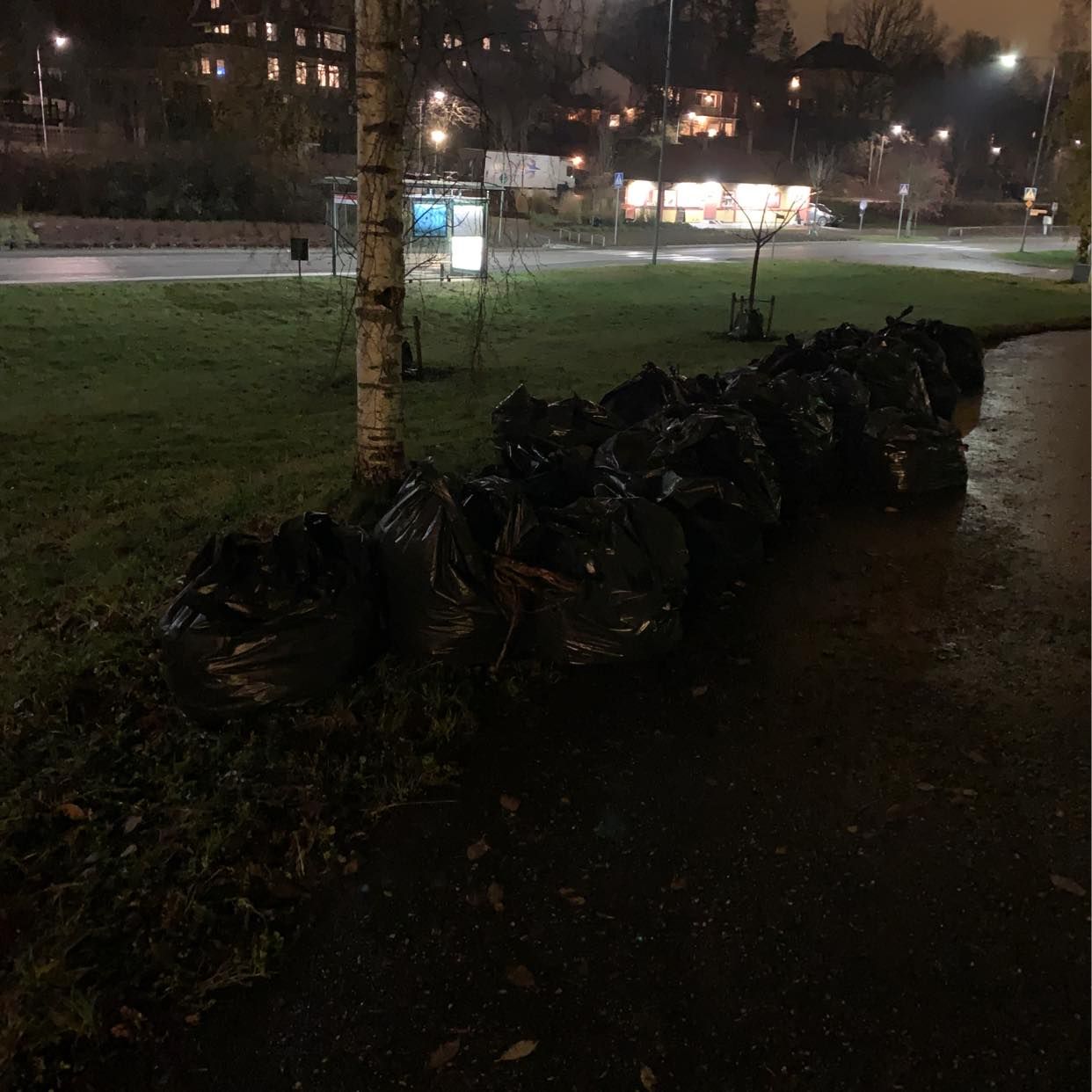 image of Totalt 40 lövsäckar - Lidingö