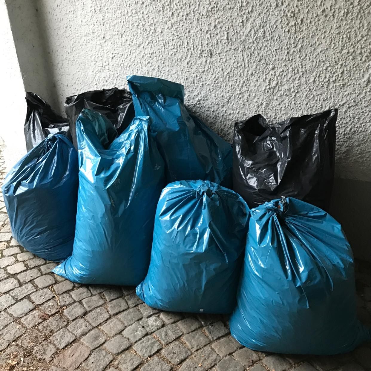 image of Löv & skräp i 8 säckar - Göteborg