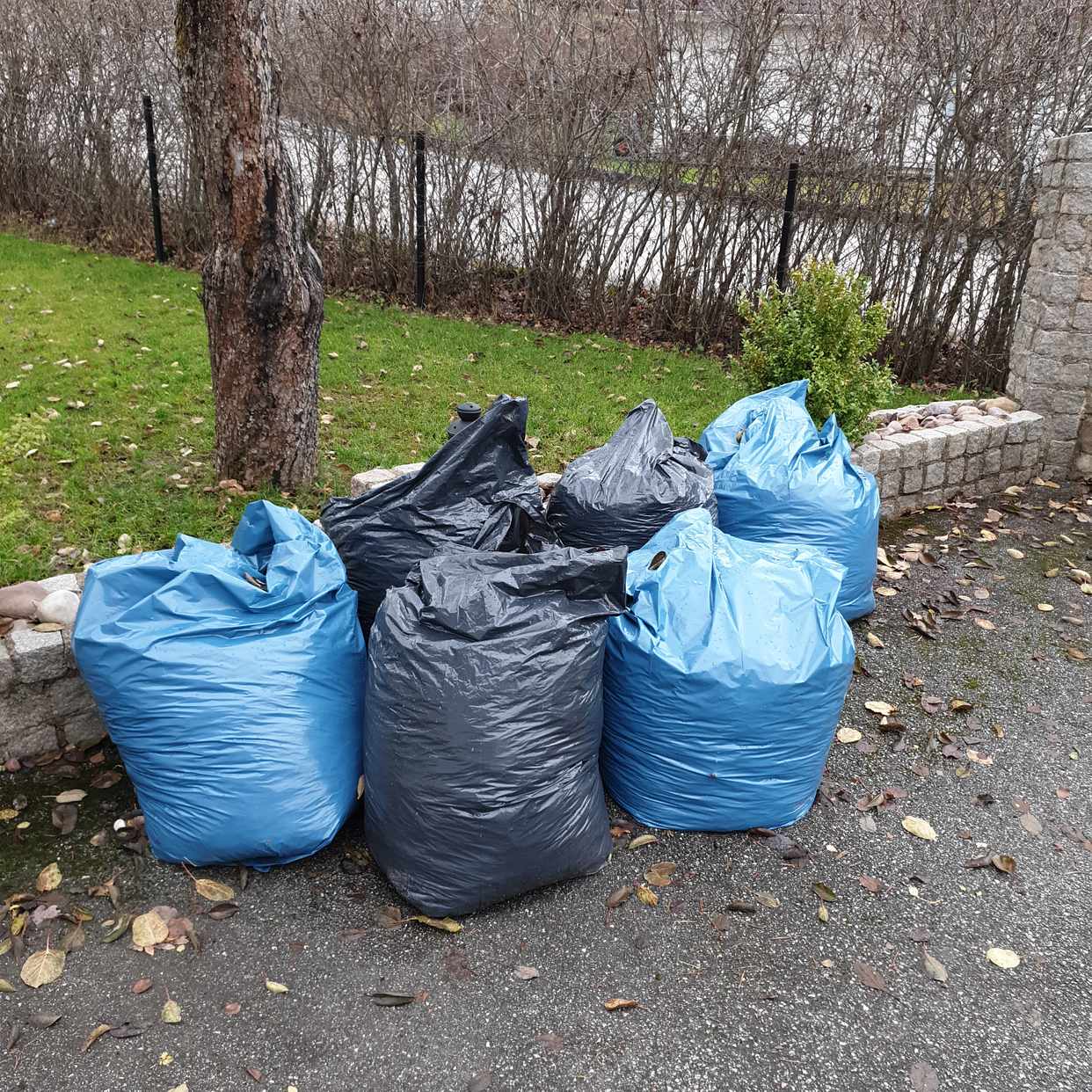 image of 6 Säckar med löv - Sollentuna