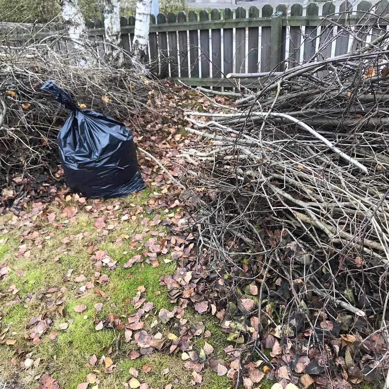 image of 8 lövsäckar + 2 rishögar - Sollentuna